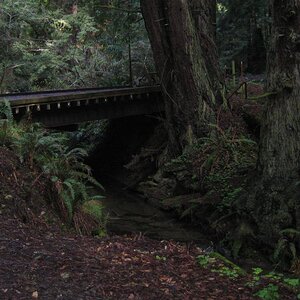 Bridge over Tunitas Creek