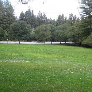 Miwok Shelter Recreation Area Huddart Park in Woodside