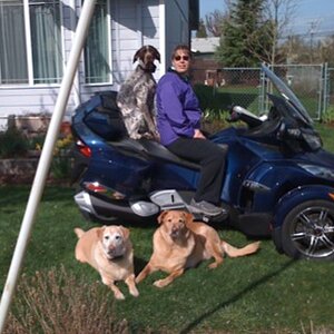 Take the picture already!