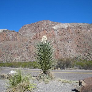 On the way to Presidio, 170
March 9, 2010