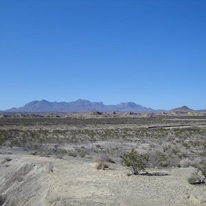 Big Bend
Looking east from Fossil Bone Exhibit
March 2010