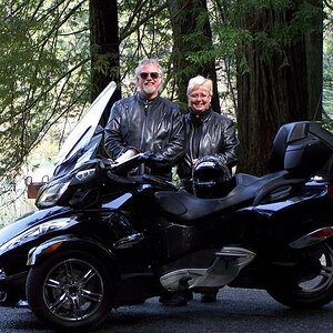 at Jedediah Smith State Park