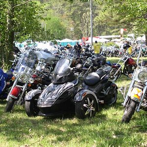 Venom out for a day of play with some close friends