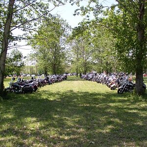 Nice spring day to party