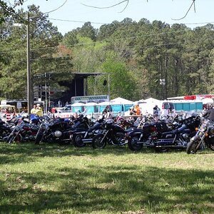 More friends shown up