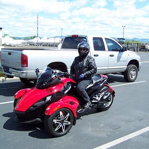 Cat ready for a test run