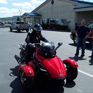 Cat getting ready for a test run