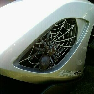 Spyder in the airhole