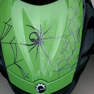 The black widow theme