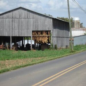 tobacco drying