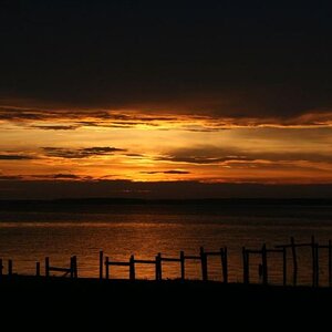 sunrise in the backyard