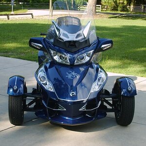 Front trim around trunk