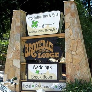 brookdale sign