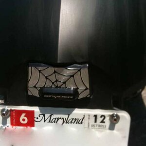 Custom plate light, install was easy but light from LEDs is week