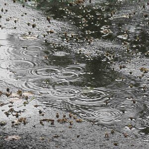 Waiting for the rain to stop near Kansas City. It never did and I headed out in the rain...Got SOAKED.