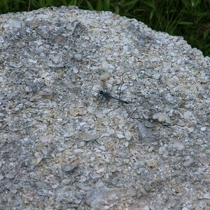 St. Augustine, Florida