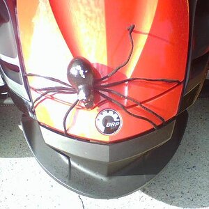 SpyderToy, given to me by a GoldWing rider who found it in a Halloween shop.  I do get lots of laughs with this!  He's been hit in the head and body b