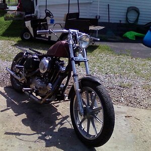 64Sporty this is my current Rat ride