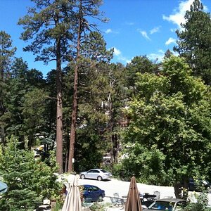 What a way to spend lunch when it was 105 degrees in Tucson and 78 degrees up on the mountain!