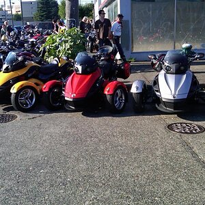 Back fire Moto Seattle