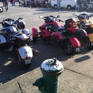 Back Fire Moto Seattle