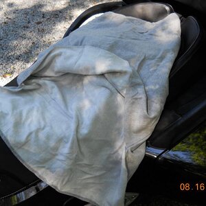 Winshield Proector Showing Longer Front