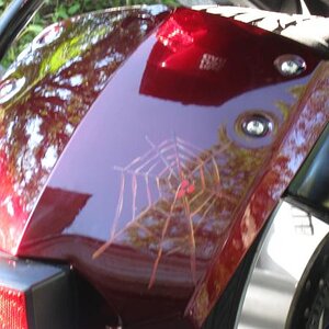 "Spyder" on a web, painted by my wife, Paula.