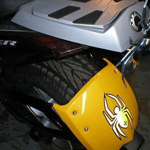 My new Kumo Ecsta AST