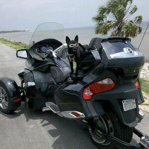 2010 07 14 13.34.37 1