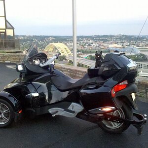 Teddy & Spyder at the Cyncy overlook