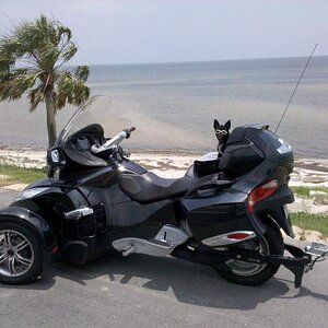 Teddy & Spyder stopped along  Rt 98 heading back from St. George Island Florida