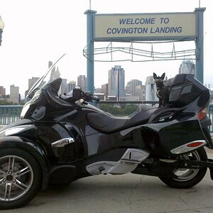 Teddy & Spyder at the Covington Landing across from downtown Cyncy