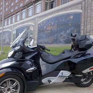 Teddy & Spyder at the Covington River Walk