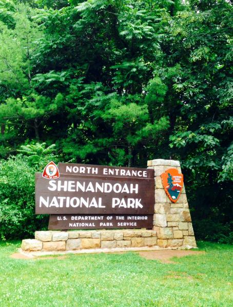 01e43d3e93dfa85916c6a4fc3315d77154a8be7bac