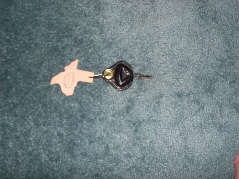 100 1694  solved the key problem on hoe to put a spyder key on a chain