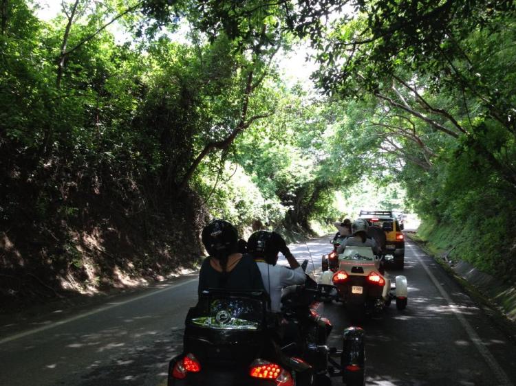 1005496 555782091138377 1869428939 n