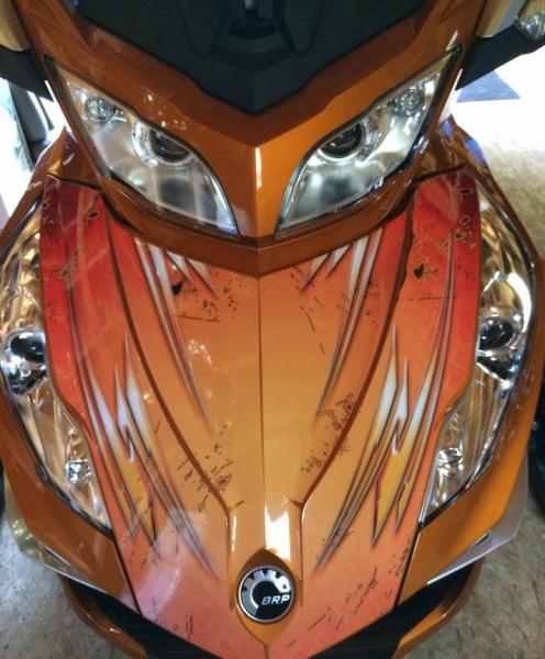 10308569 758710477502916 9023632960073978118 n