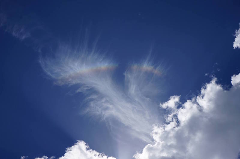 11091134 10203987782201329 737066078 o