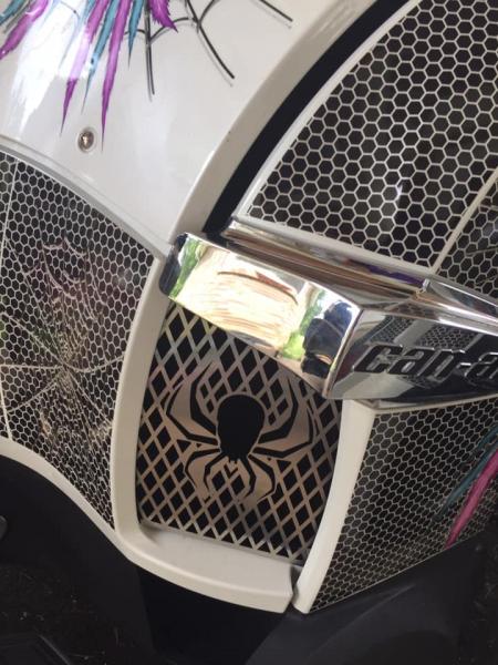 127017098 3645888752100459 5940446599755386959 n