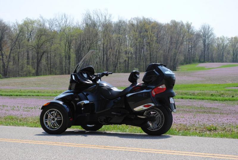 14443
Early spring ride with a field full of purple flowers near our home.