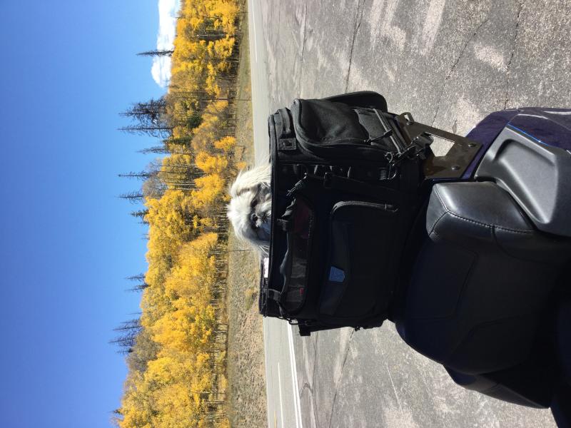 151F2F3B 6E9F 4173 9E7F F1ECD5244DB1