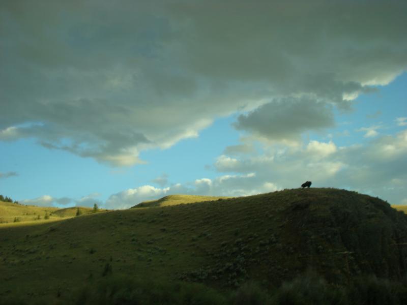 153 Utah Montana 074