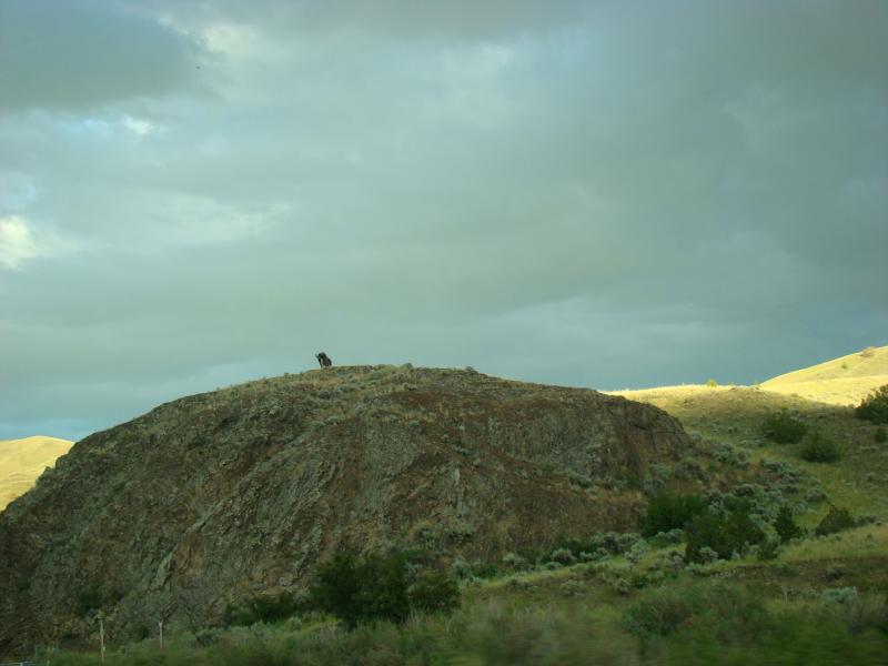 154 Utah Montana 073