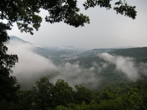 179902 4257410434093 1003215042 n (300x225)