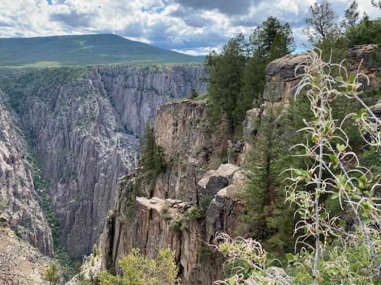 181A9BFE 830E 4157 928A 6E7F54ECF6EC