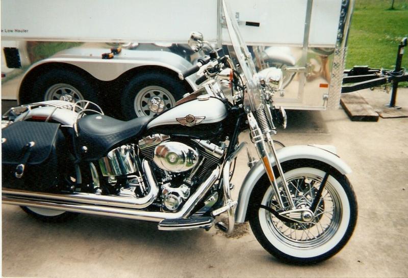 2003 100th anniversary Springer