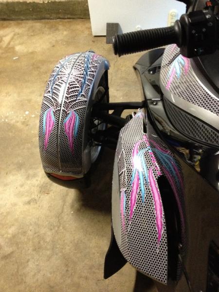 2009 SM5 Silver Spyder with custom www.powersportswraps.com skin.  Left side from back.