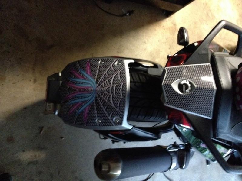 2009 SM5 Silver Spyder with custom www.powersportswraps.com skin.  Rear fender and tail.