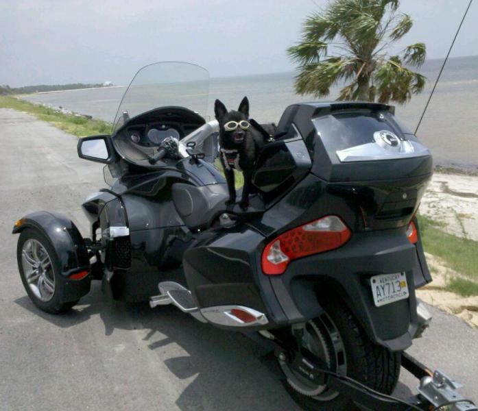 2010 07 14 13.34.37 1