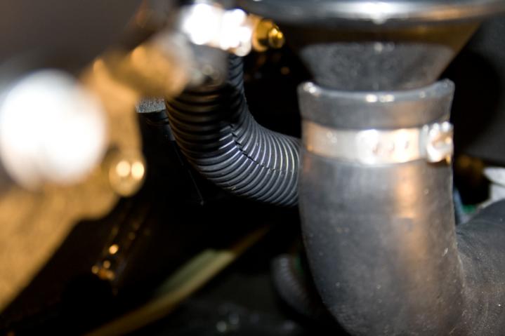 2010 RS SpyderNewEvapCan 3 - Vent hose is inside the loom wire, covered from the factory, on my 2010 RS.